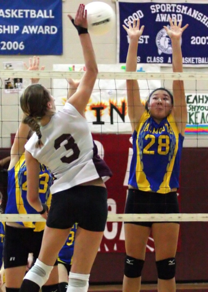 N-sportsvolleyball1-110509.JPG