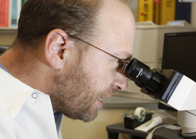 Reporter Ray Routhier looks through a microscope in the lab at Mid Coast Hospital in Brunswick. He saw urine samples whose cells had been magnified 40 times.