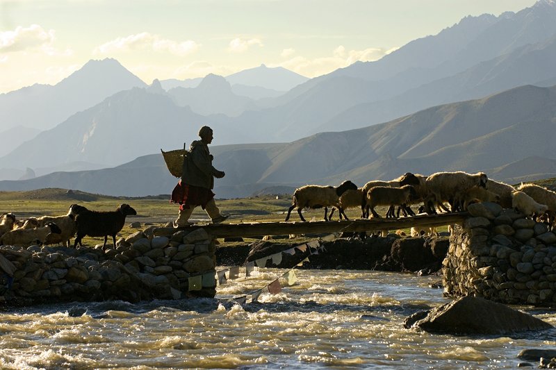 Ladakh Bridge, India, one of the photographs by Jim Daniels at Northeast Hearing and Speech in Portland