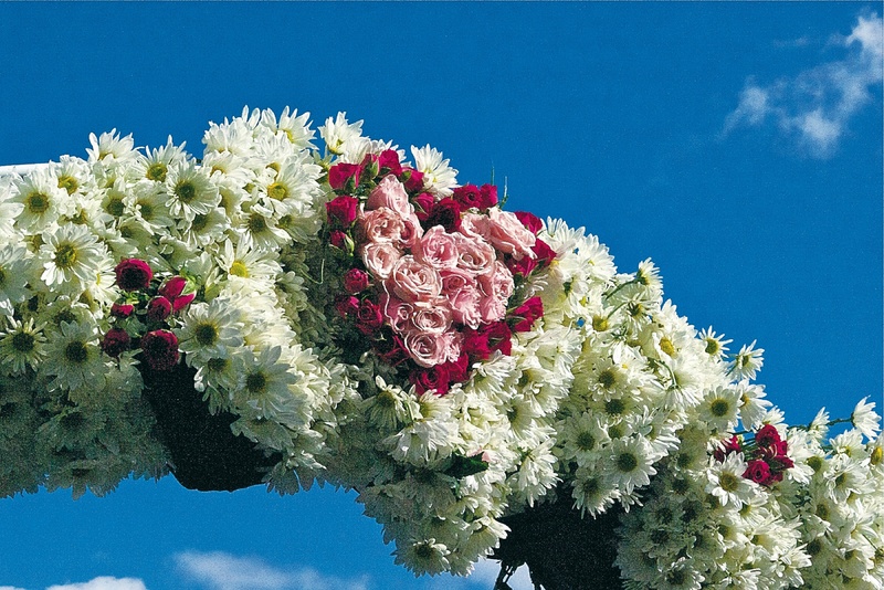 Alario-Miller ordered two kinds of roses and lots of daisies. She covered a wedding archway, above, made bouquets and boutonnieres and decorated the cake with daisies and an airplane, below.