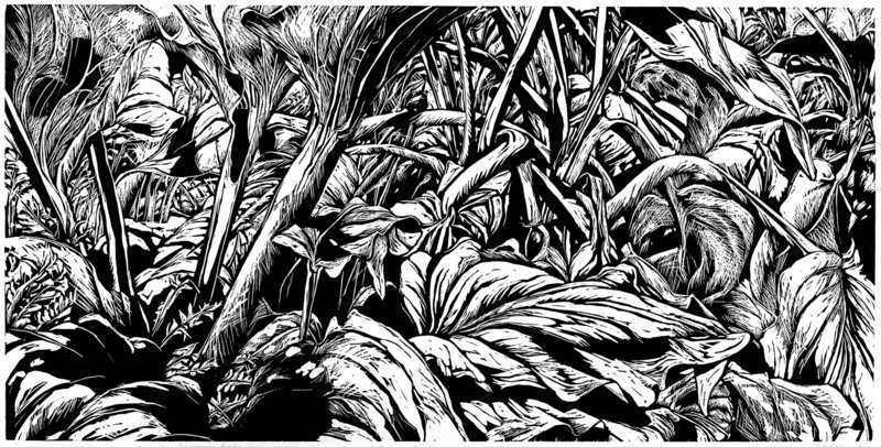 Barbara Putnam's woodcut "Skunk Cabbage"