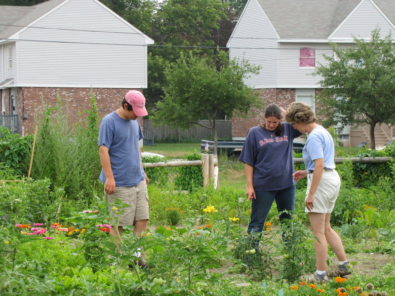 Amy Witt, right, a horticulturist with the University of Maine Cooperative Extension Service, helps Jessica Villandry and Jonathan Mildrum of Community Partners, in their garden plot. The City of Portland offers the community garden space to individuals and nonprofits on a first-come, first-served basis.