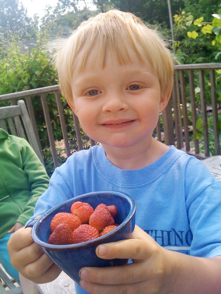 Rowan Whitten shows off fresh-picked strawberries from the edible perennial landscape at his house, at the Fernandes home, which is part of this year's tour.