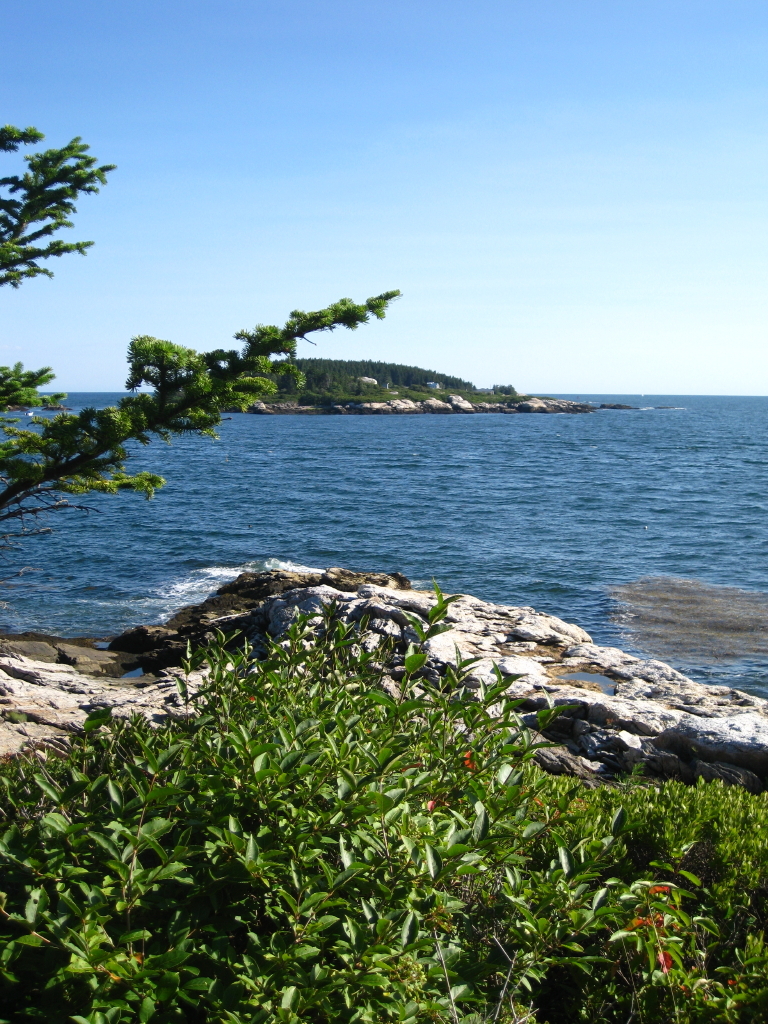 This photograph is taken from a vantage point in Phippsburg from which John Marin may well have viewed Wood Island, visible offshore, which he depicted in the painting “Big Wood Island,” now on display at the Portland Museum of Art.