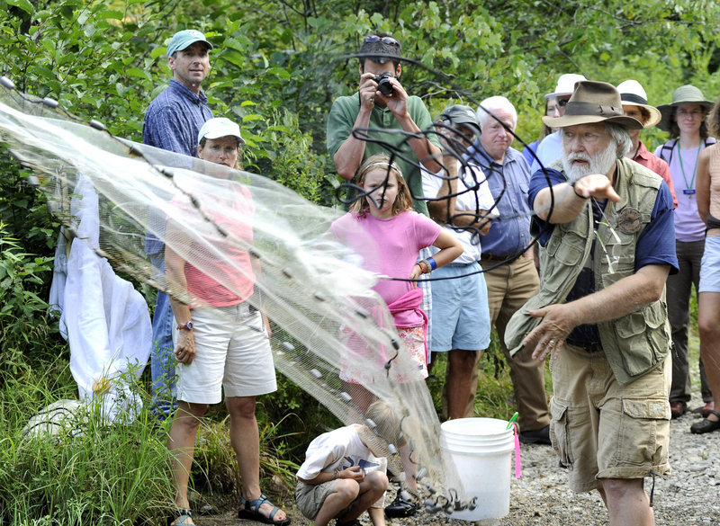 Biologist Fred Cichocki casts a net into Lower Montsweag Brook below the dam during a public tour of the Wiscasset site on Thursday sponsored by the Chewonki Foundation and Kennebec Estuary Land Trust.