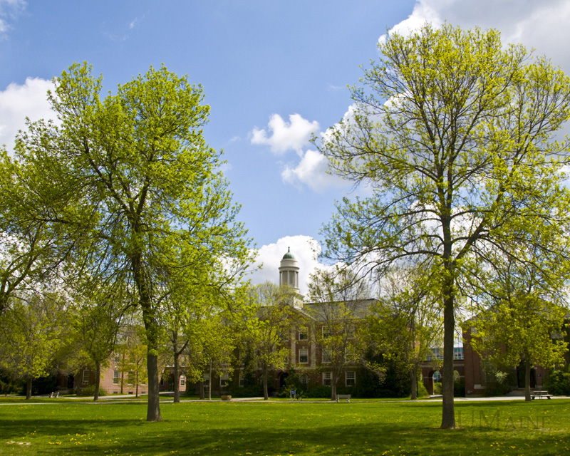 The guide praises UMaine for its "outstanding academics."