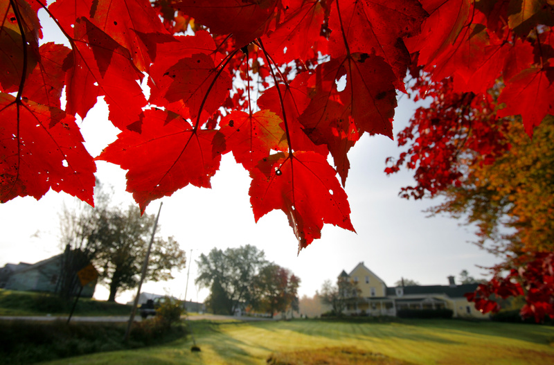 Leaves of a maple along Route 35 in Dayton had reached their deep red stage on Oct. 4, 2006.