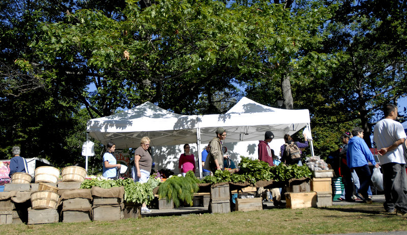 The steady stream of customers at the farmers’ market at Deering Oaks in Portland, great news for the growers, is raising concerns about overcrowding and a shortage of parking.
