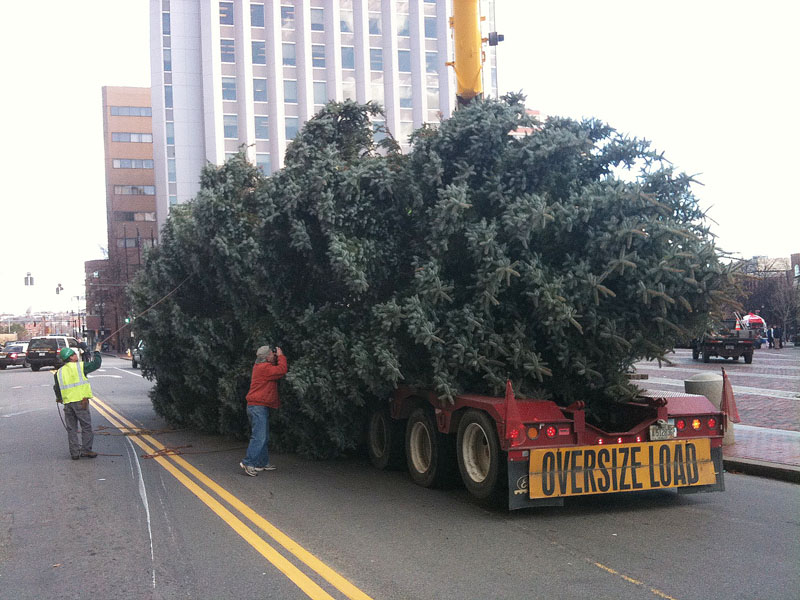 The tree arrives Monument Square today. Keely Crane Services and Shaw Brothers Construction donated staff and equipment to transport and hoist the tree into place.