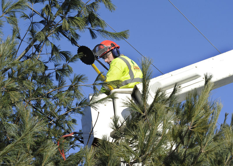 James Pike of Lucas Tree Experts prunes trees on Bartlett Road in Gorham. Recognizing that Maine is the most heavily forested state in the country, CMP is committed to trimming trees on each section of its 23,000 miles of distribution line every five years.