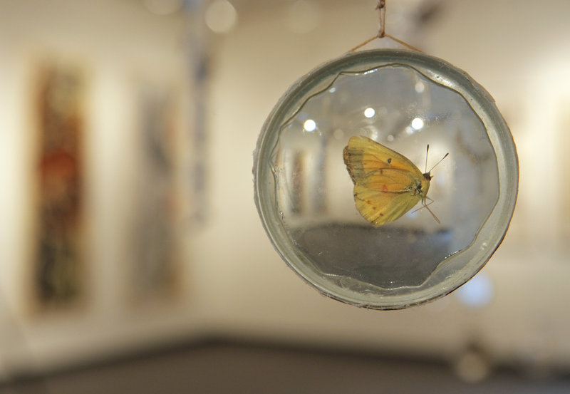 This moth preserved in glass is among the figures hanging amid an assortment of test tubes, beakers and other sparkling vessels and forms in "The Feathered Hand."