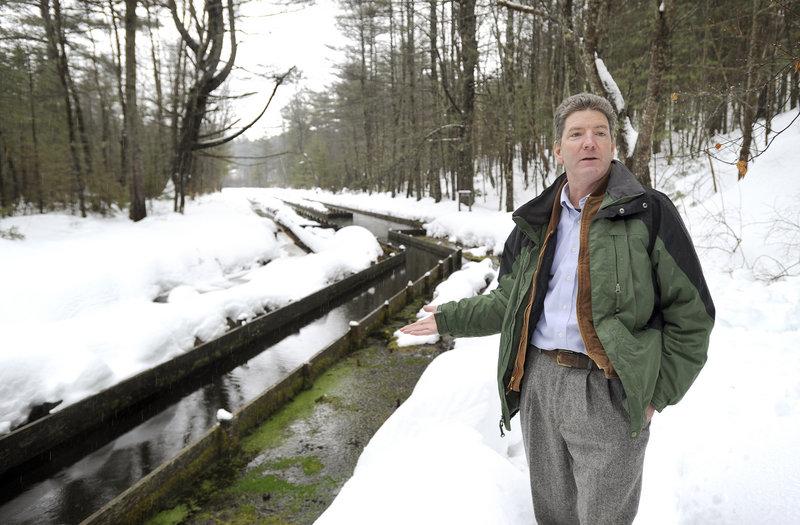 Thomas Brennan, natural resources manager, stands by a former fish hatchery where spring water bubbles to the surface at the Poland Spring property in Hollis.