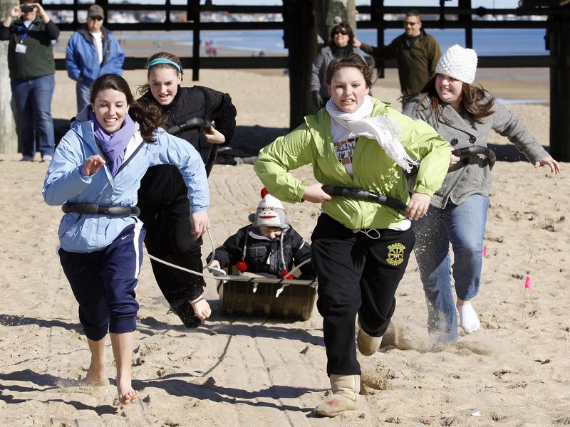 ... a human dogsled race ...