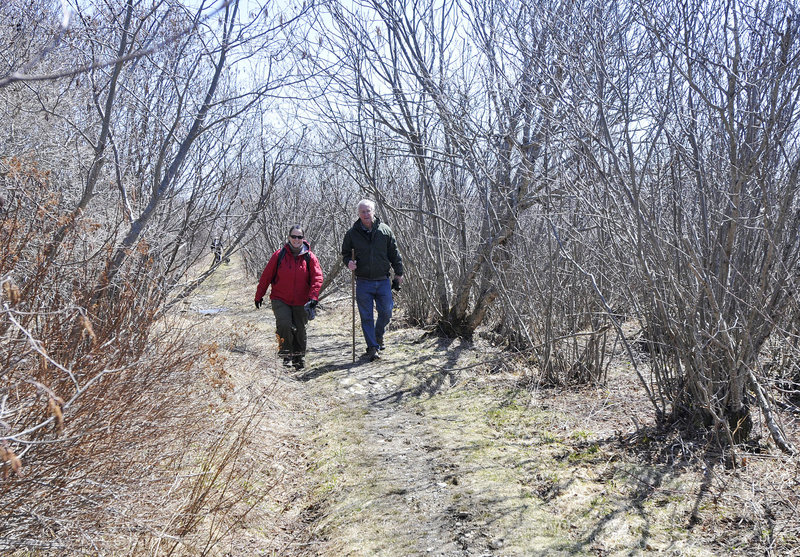 Stephanie Clement, conservation director of Friends of Acadia, and Tom Sidar, director of the Frenchman Bay Conservancy, hike Schoodic Head in Acadia National Park.