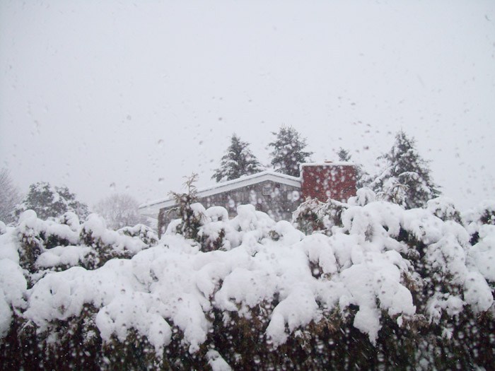 Photo by Linda Devou of South Portland. "Mother Nature says APRIL FOOLS on you hah!!!"