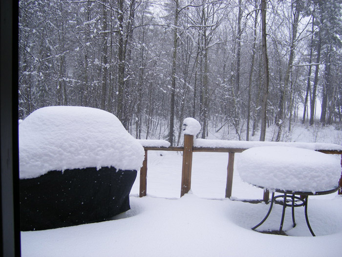 Anni Roming captured this scene near the lake in Unity, where snowfall was heavy.