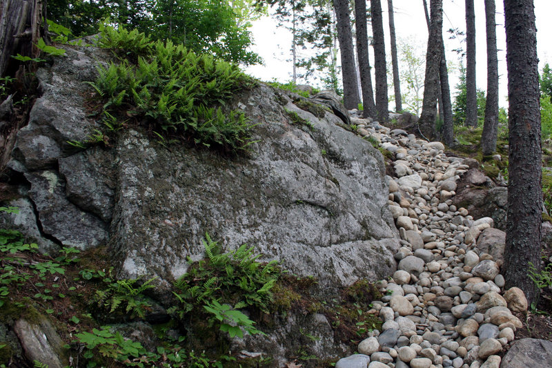 The Hillside Garden helps visitors transition between heavily landscaped sections of CMBG and some that are largely untouched.