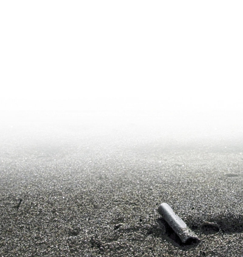 One thousand cigarette butts were collected by students in less than an hour at Willard Beach in April.