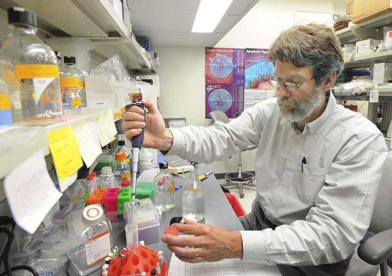 Research assistant Tom Sproule works at Jackson Lab in Bar Harbor. Scientists and professors in Jackson Lab’s 36 research programs study the role of genetics in metabolism, cardiovascular function, reproductive biology, birth defects, aging, deafness, obesity and a range of disorders. They also study cancer, HIV-AIDS, lupus, diabetes and other conditions.