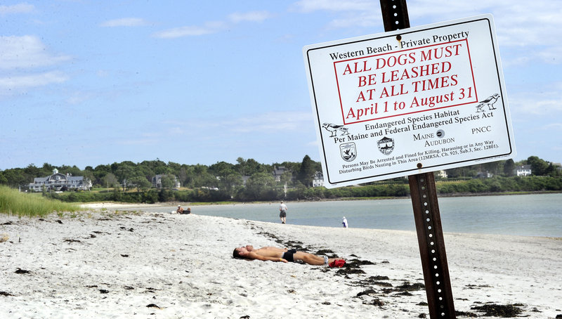The public is allowed on this private section of Ferry Beach in Scarborough.