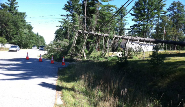A downed tree on Route 302 in Windham this morning near the Raymond town line.
