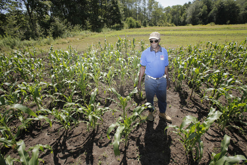 Boulis Kodi checks the gardens at Tidewater Farm to make sure the groups who have plots assigned to them are weeding and tending their crops.