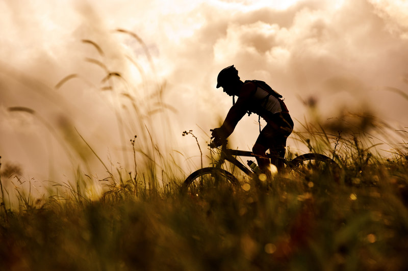 The Central Maine Mountain Bike Festival begins at 9 a.m. Saturday at the Quarry Road Recreation Area in Waterville.