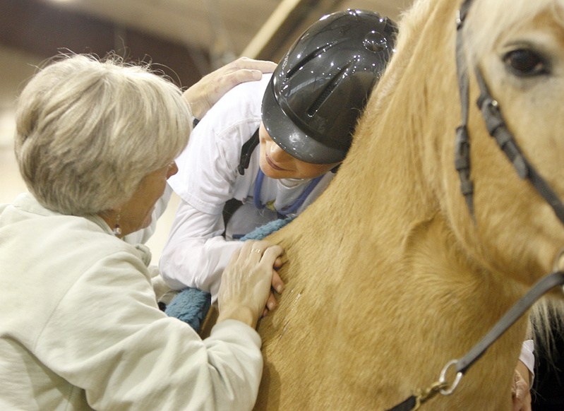 Bronson hugs Scotty as he holds on to Luke, a Haflinger, last week at the center.