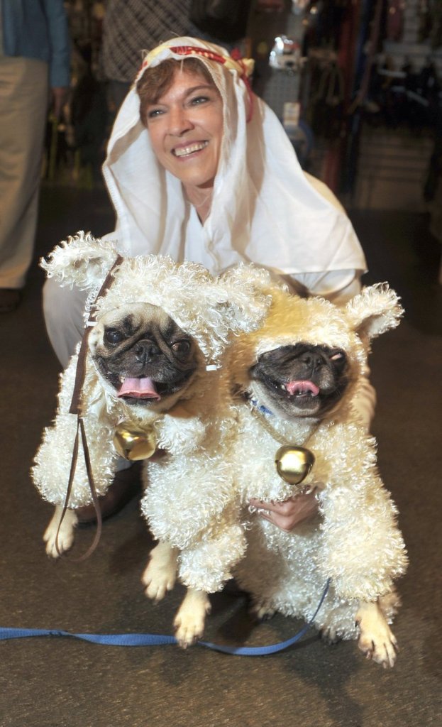 Lori Sirois of Portland brought her two “pugs in sheep’s clothing,” Puggy and Sissy, to a Halloween party for pets and their owners at Planet Dog last year.