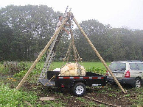 Hefty giant pumpkins must be hauled to competitions.