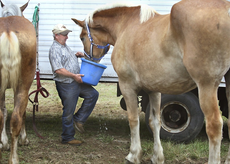 The involvement of the state’s farmers helped pass a recent bill to limit farmers’ liability during agritourism events.