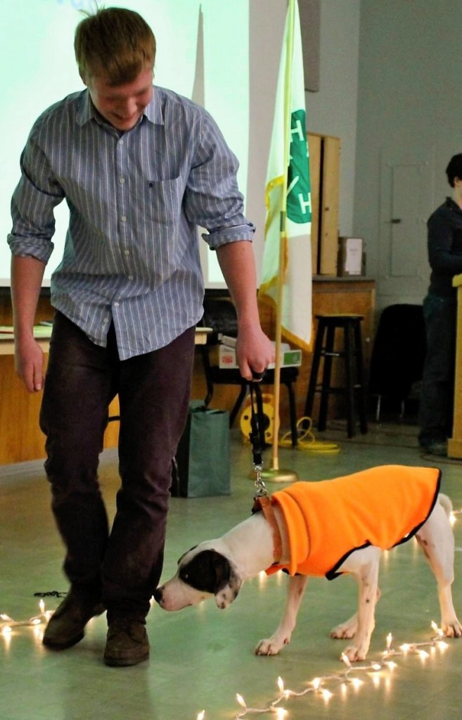 Ansel Critchfield, 14, of Casco, with his dog, Jack, at a 4-H fashion show held in Gray last month. Jack is modeling a dog garment that Ansel made.