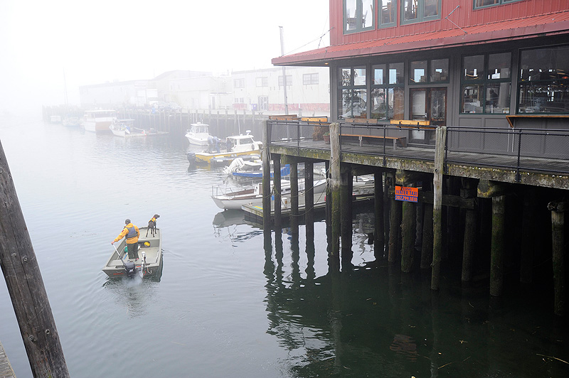 Spencer Fuller and Moxie with Maine Search & Rescue Dogs assist members of the State and Portland police dive teams Monday, May 21, 2012 as they search the waters near the State Pier for Nathan Bihlmaier, who went missing after a night with friends in the Old Port.