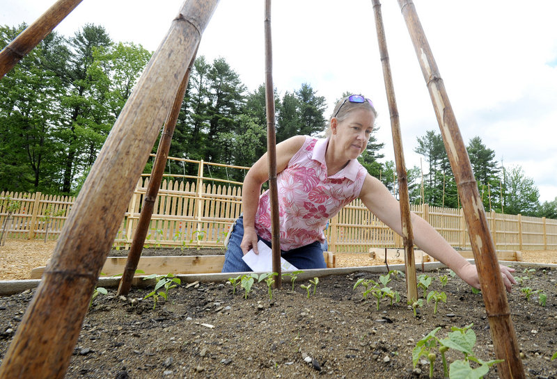 Loni Brown checks on young pole bean plants.