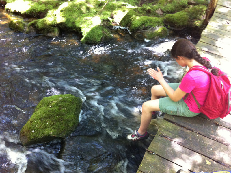 The trail marker might have been missed by the family, but we did take a moment to sit and enjoy the footbridge on the Fox Run Trail at Androscoggin Riverlands State Park.