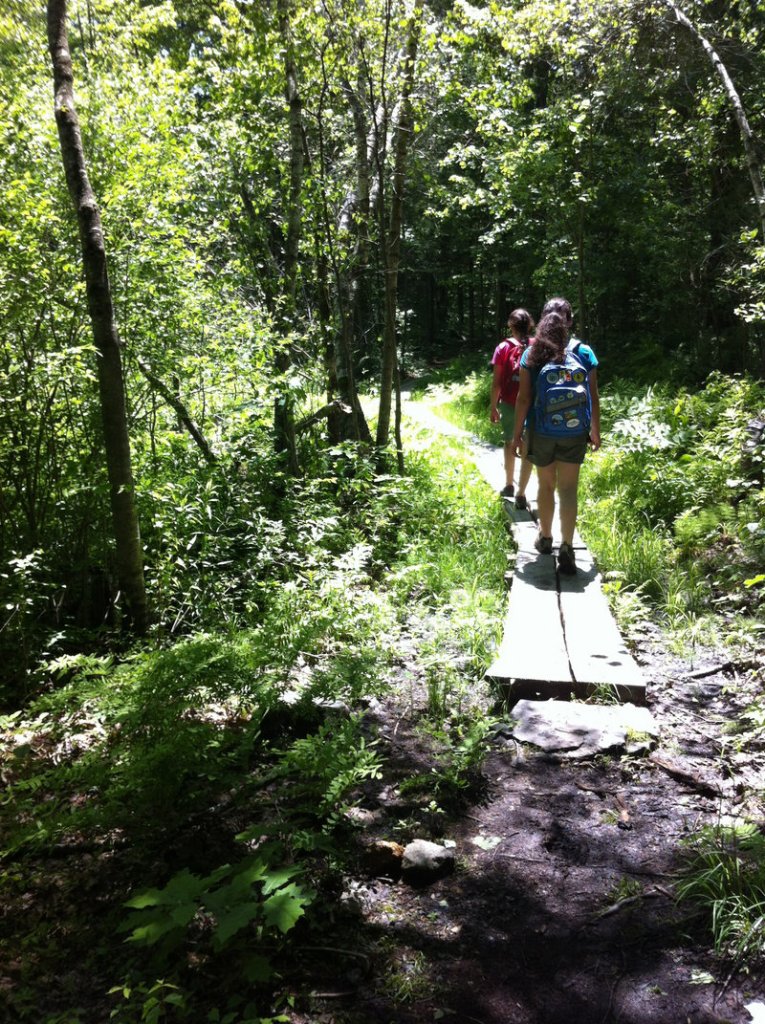 The trails at Androscoggin Riverlands State Park are well-marked and offer an easy family-friendly hiking experience. The trails offer beautiful river vistas and some nice picnic table amenities along the way.