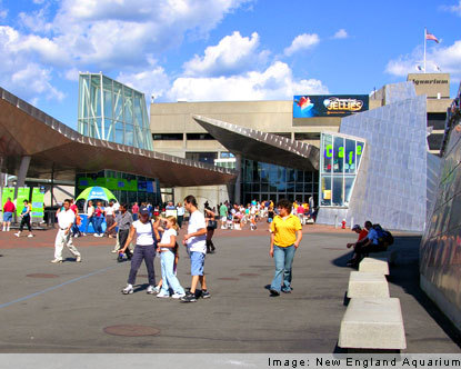 The New England Aquarium led redevelopment of Boston’s waterfront 40 years ago, and it’s still a tourism magnet.