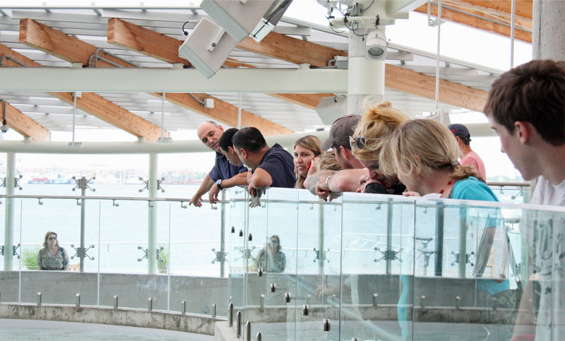 Aquarium staff member Tony LaCasse describes the sea lions exhibit to visitors. He says Boston’s Harborwalk and nearby Rose Kennedy Greenway have increased activity around the aquarium.