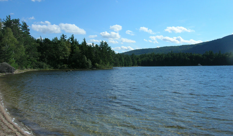 Deborah Aldridge and her family were vacationing at Mopang Lake nearly 50 years ago when DDT sprayed over the forest to fight spruce budworm inadvertently killed untold numbers of small songbirds, including many chickadees and sparrows. The sight of the dead birds on the forest floor, combined with what Aldrich had read about pesticide use in “Silent Spring,” led her to become an organic farmer and environmental advocate. The bird populations around the lake did not recover fully, Aldrich says, until five years ago.