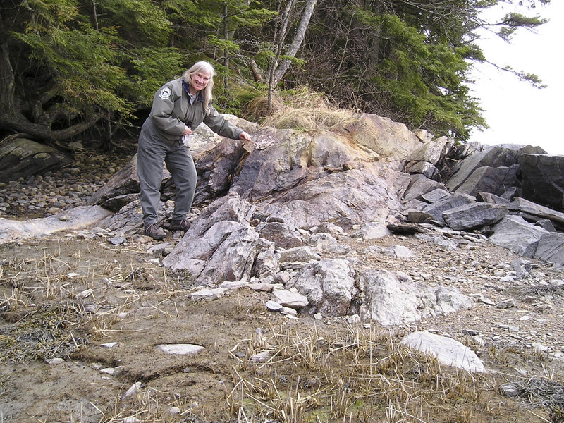 Patty Bailey, a retired interpretive nature educator, created guided walks, inspired by some of Rachel Carson’s writings, at Wolfe’s Neck Woods State Park in Freeport. Here, she studies the rocky shoreline while planning a walk designed to encourage children to appreciate the diverse life of the tidal zone at the edge of the sea.