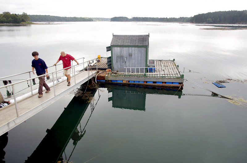 Kyle Murdock, president and CEO of Sea Hag Seafood, left, and Ryan Jackson of Rockport Mechanical Inc. walk back to the processing plant after discussing the repairs needed to the pump house on Long Cove in Tenants Harbor on Monday. The pump house provides seawater for the plant to process lobster.