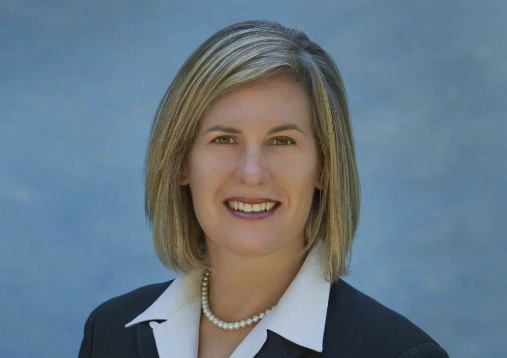 Cynthia Dill, candidate for U. S. Senate.