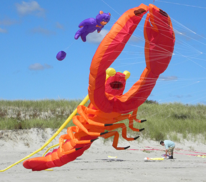 Capriccio kites come in exotic shapes and sizes.