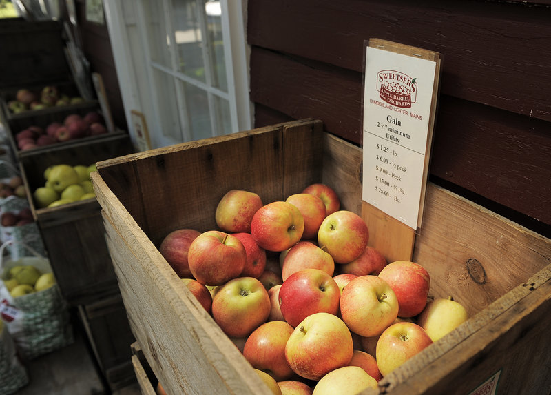 A crate of Gala apples beckons customers at Sweetser’s Apple Barrel and Orchards in Cumberland last weekend.