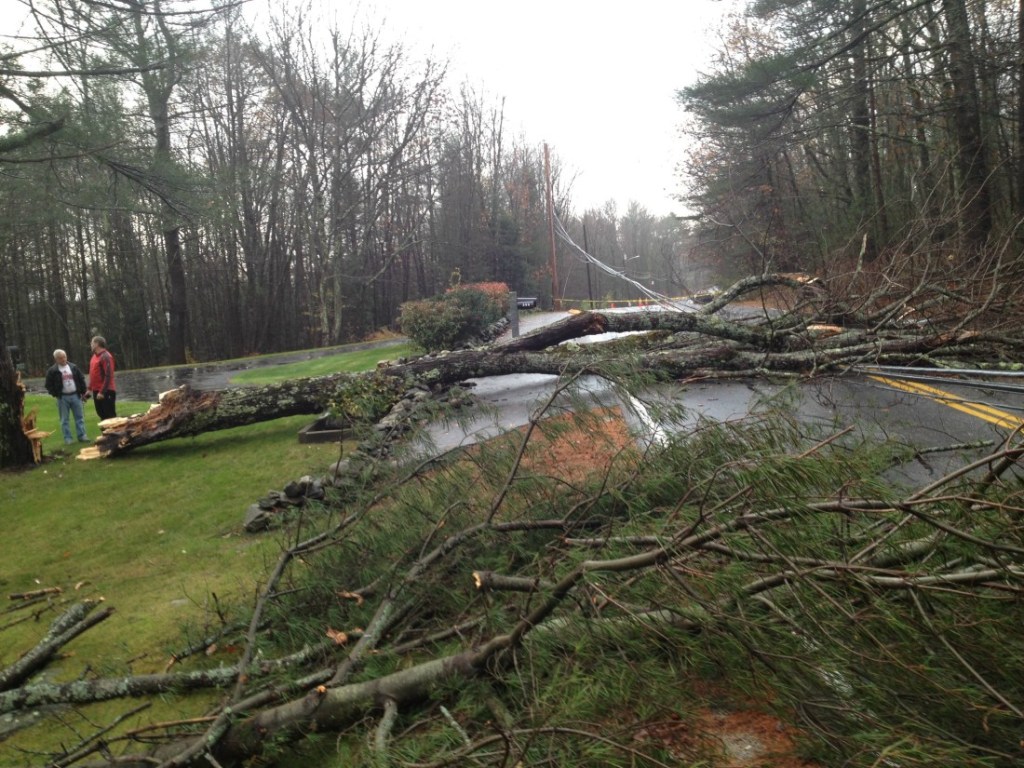 Gerard LeBlanc and Steve Graffam check out the damage from a fallen tree that knocked down a power pole and lines on Methodist Road in Westbrook. The power was off before the tree fell, according to LeBlanc, owner of the tree which continues to block the road.