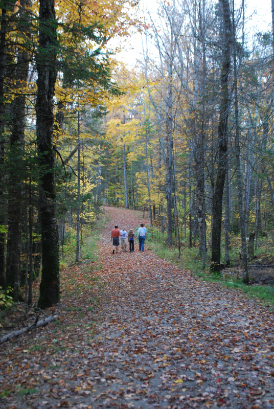 A road less traveled still awaits many hikers despite the increasing number of visitors at Maine’s 12 state park campgrounds.