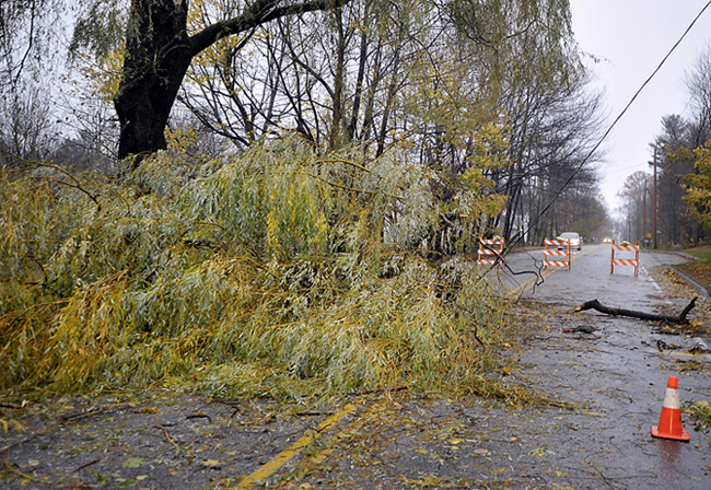 Mountain Road in Falmouth was blocked to traffic starting at about 2 a.m. on Tuesday morning when a tree fell onto the road, bringing down a power line in the process. David and Laurie Janes say they heard the crash while in bed in their Falmouth home.