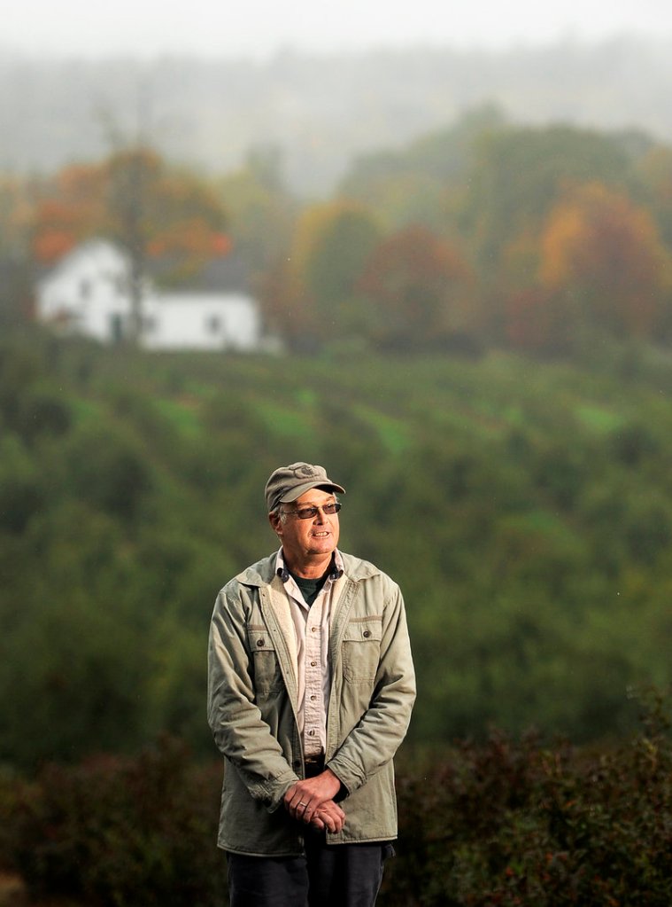 Mike Libby stands at the top of his orchard in Limerick on Thursday. Libby says he’s not too keen on either presidential candidate because they aren’t talking about change.