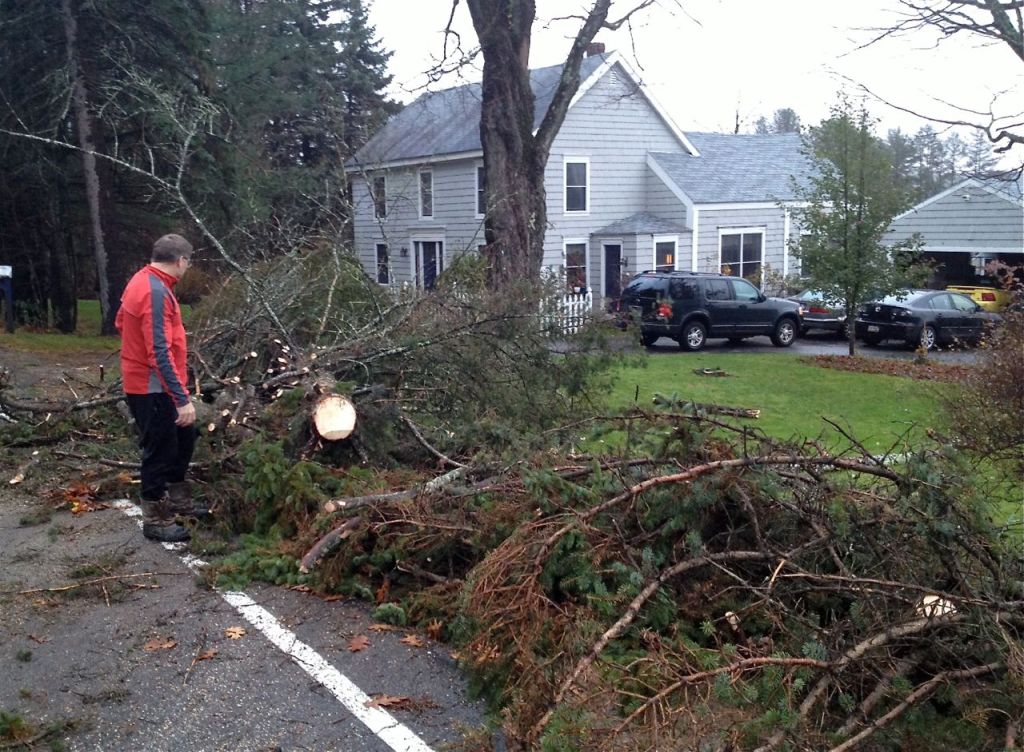 Stephen Graffam, who lives on Methodist Road in Westbrook, checks out a tree that fell about 3 a.m. and blocked the road. He said two young men who wanted to get to work pulled out two chainsaws and cut it up about 5 a.m.