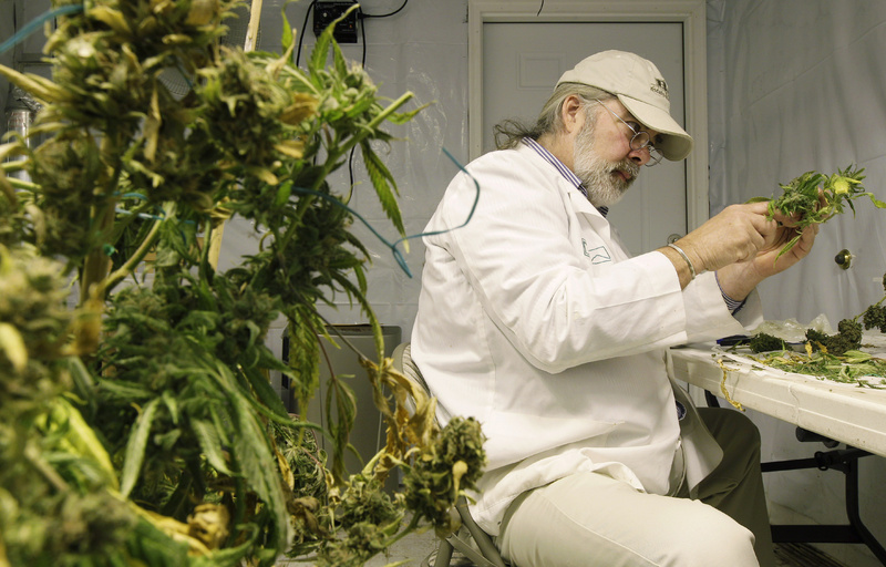 Jake Dimmock, co-owner of the Northwest Patient Resource Center medical marijuana dispensary, prepares medical marijuana for distribution to patients in Seattle. Washington state voters approved the recreational use of marijuana this month. Given such developments, it is long overdue for American policy makers to take a serious look at marijuana.